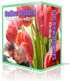 online dating PLR newsletters