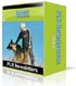 dogs PLR newsletters